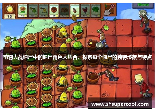 植物大战僵尸中的僵尸角色大集合，探索每个僵尸的独特形象与特点