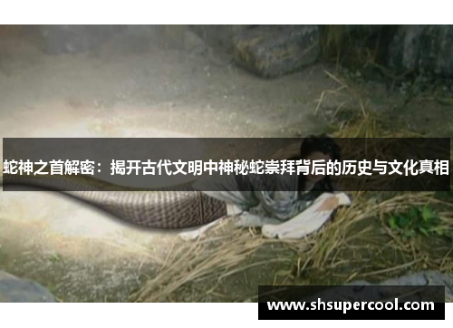 蛇神之首解密：揭开古代文明中神秘蛇崇拜背后的历史与文化真相