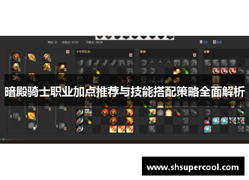 暗殿骑士职业加点推荐与技能搭配策略全面解析