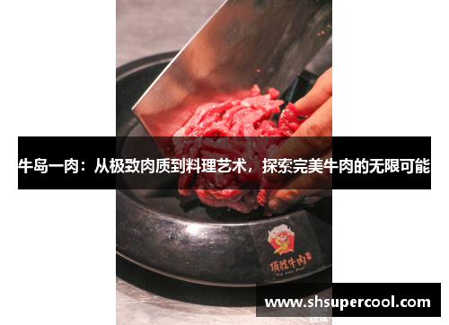 牛岛一肉：从极致肉质到料理艺术，探索完美牛肉的无限可能